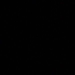 Meet your Posher, Gabby